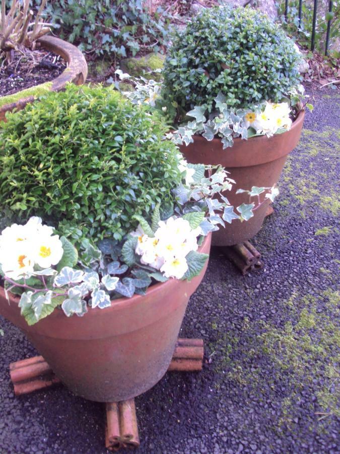 Woodlands Bed and Breakfast Looe Esterno foto